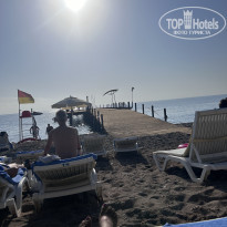 фото из отзыва ID 2651058