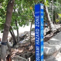 фото из отзыва ID 2651353