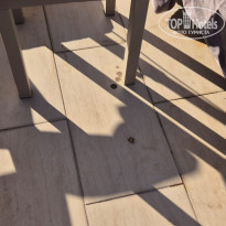 фото из отзыва ID 2651655