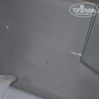 фото из отзыва ID 2651655