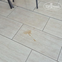 фото из отзыва ID 2651655