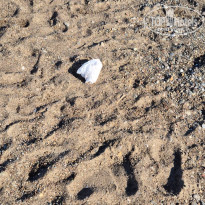 фото из отзыва ID 2651655