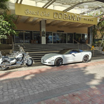 фото из отзыва ID 2652009