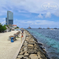 фото из отзыва ID 2652231