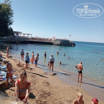 фото из отзыва ID 2652827