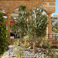 фото из отзыва ID 2653651