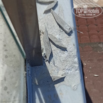 фото из отзыва ID 2653945