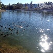 фото из отзыва ID 2653945