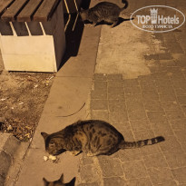 фото из отзыва ID 2653945