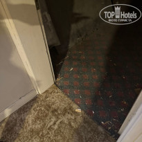 фото из отзыва ID 2654288