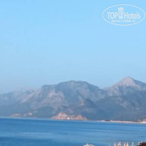 фото из отзыва ID 2654914