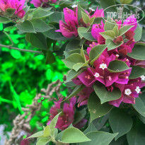 фото из отзыва ID 2654940