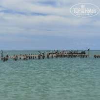 фото из отзыва ID 2655248