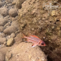 фото из отзыва ID 2655361