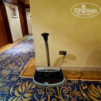 фото из отзыва ID 2655743