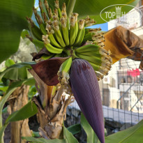 фото из отзыва ID 2655859