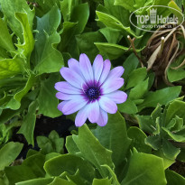 фото из отзыва ID 2655859