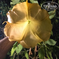 фото из отзыва ID 2655859