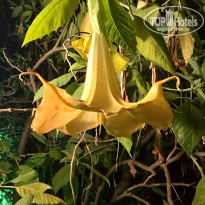 фото из отзыва ID 2655859