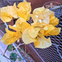 фото из отзыва ID 2655859
