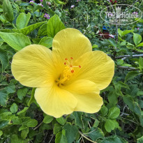 фото из отзыва ID 2655859