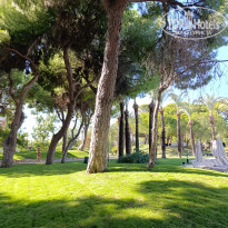 фото из отзыва ID 2656150