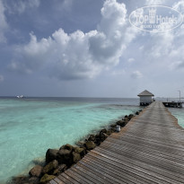 фото из отзыва ID 2656496
