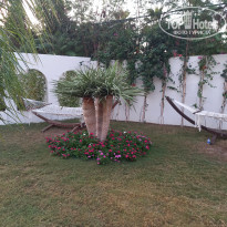 фото из отзыва ID 2656773