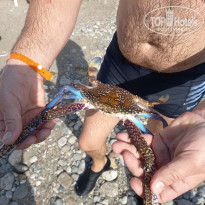 фото из отзыва ID 2656773