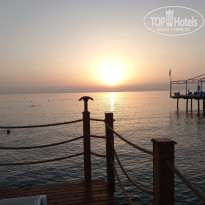 фото из отзыва ID 2656773