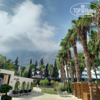 фото из отзыва ID 2656773