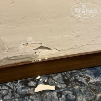 фото из отзыва ID 2656786