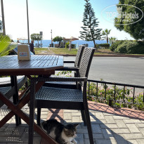 фото из отзыва ID 2656876