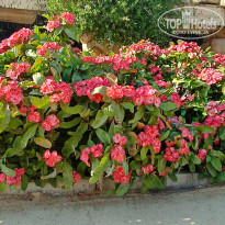 фото из отзыва ID 2656975
