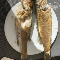 фото из отзыва ID 2657244