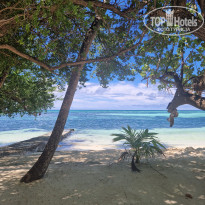 фото из отзыва ID 2657313