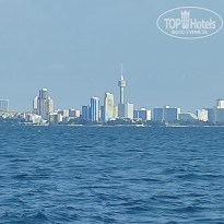 фото из отзыва ID 2657333