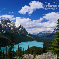 фото из отзыва ID 2657426