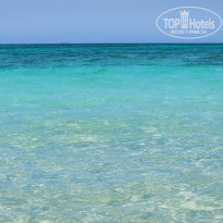 фото из отзыва ID 2657447