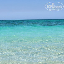 фото из отзыва ID 2657447