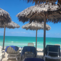 фото из отзыва ID 2657447