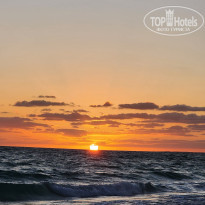 фото из отзыва ID 2657447