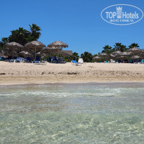 фото из отзыва ID 2657447