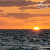 фото из отзыва ID 2657447