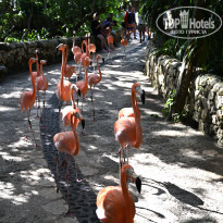 фото из отзыва ID 2658411
