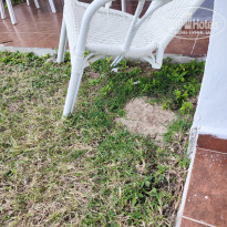 фото из отзыва ID 2658457