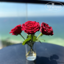 фото из отзыва ID 2658788