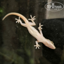фото из отзыва ID 2659038