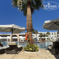 фото из отзыва ID 2659135