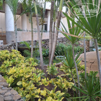 фото из отзыва ID 2659306